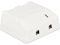 Miniatyrbild 3 av 4: Delock Keystone Surface Mounted Box - Chassi med modulär insättning - vit - 2 portar