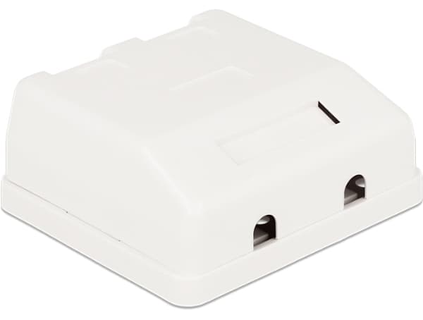 Delock Keystone Surface Mounted Box - Chassi med modulär insättning - vit - 2 portar