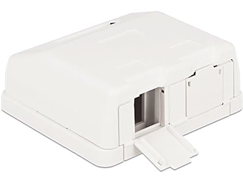 Delock Keystone Surface Mounted Box - Chassi med modulär insättning - vit - 2 portar