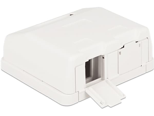 Delock Keystone Surface Mounted Box - Chassi med modulär insättning - vit - 2 portar
