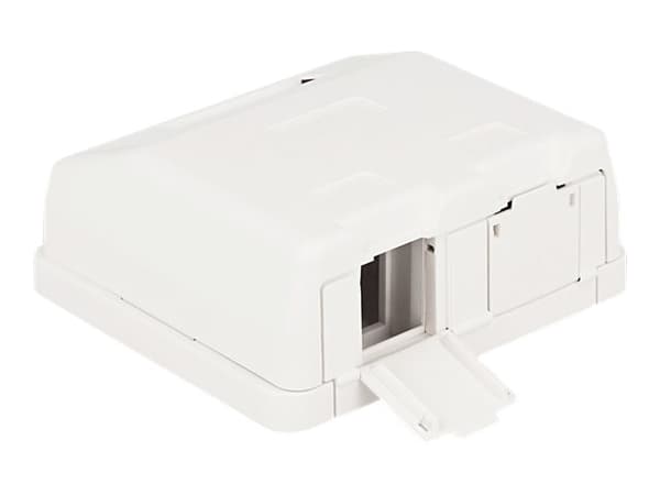 Delock Keystone Surface Mounted Box - Chassi med modulär insättning - vit - 2 portar