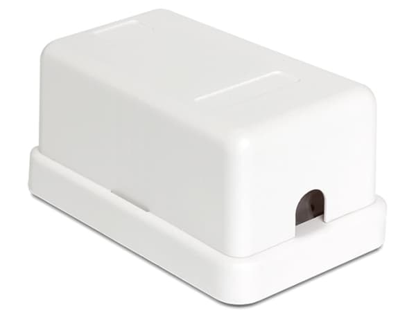 Delock Keystone Surface Mounted Box - Chassi med modulär insättning - vit - 1 port