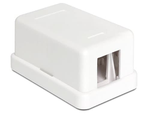 Delock Keystone Surface Mounted Box - Chassi med modulär insättning - vit - 1 port