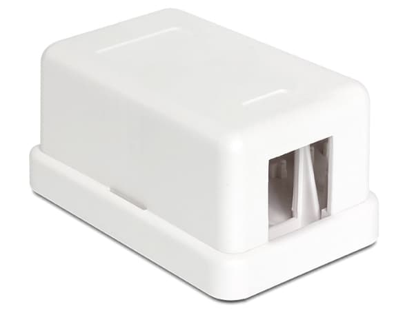 Delock Keystone Surface Mounted Box - Chassi med modulär insättning - vit - 1 port