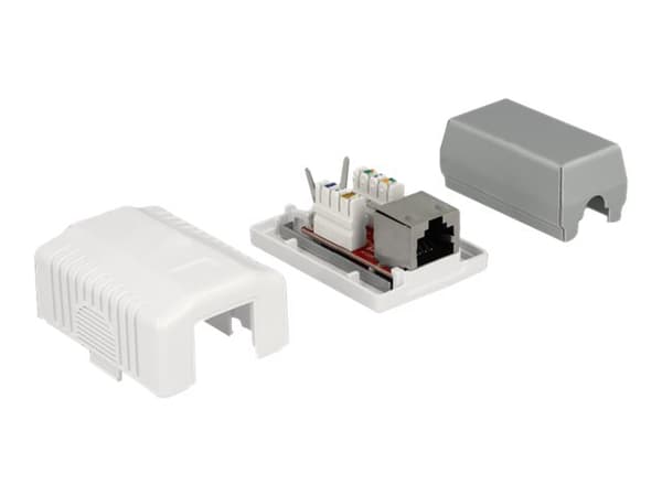 Delock - Strömuttag - bordsmontering, väggmontering - CAT 6a - STP - RJ-45 - vit Vit
