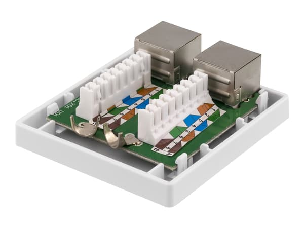 DELTACO VR-221 - Liitin pinta-asennukseen - pinta-asennus - CAT 6a - FTP - RJ-45 X 2 - valkoinen