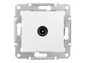 Pikkukuva 1 / 2: Schneider Electric SDN3201621, TV, Valkoinen, IP20, 64 mm, 40 mm, 70 mm