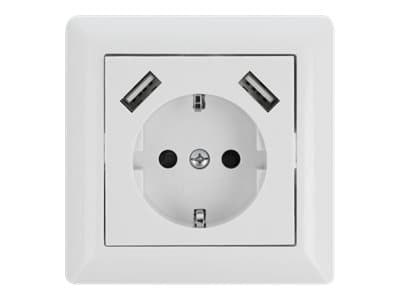 DeLOCK 11473, 2 x USB + CEE 7/3, Valkoinen, Muovi, 250 V, 0,2 A, 50 Hz