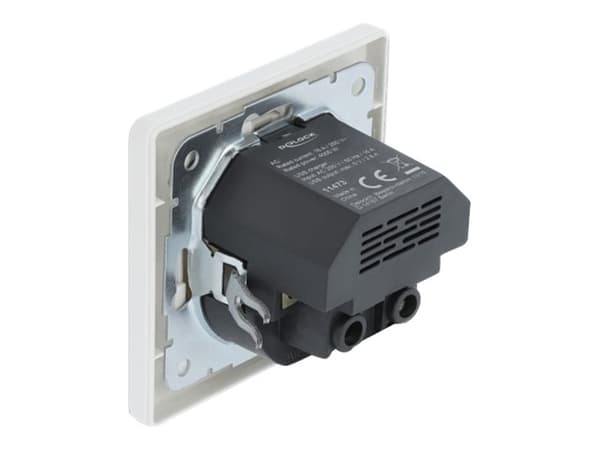 DeLOCK 11473, 2 x USB + CEE 7/3, Valkoinen, Muovi, 250 V, 0,2 A, 50 Hz