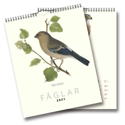 Väggkalender Fåglar 2021