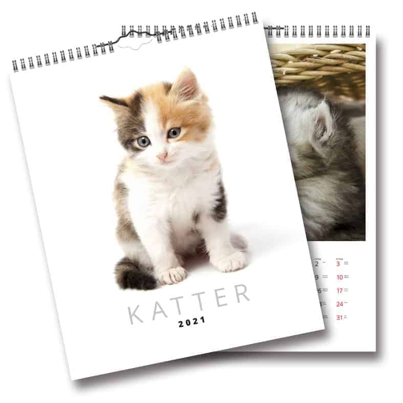 Väggkalender Katter 2021