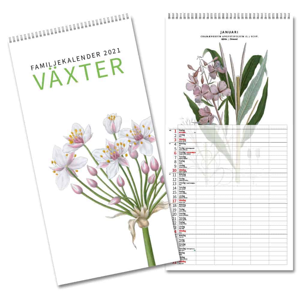 Familjekalender Växter 2021