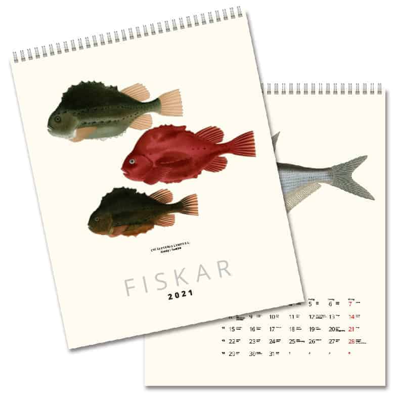 Väggkalender Fiskar 2021