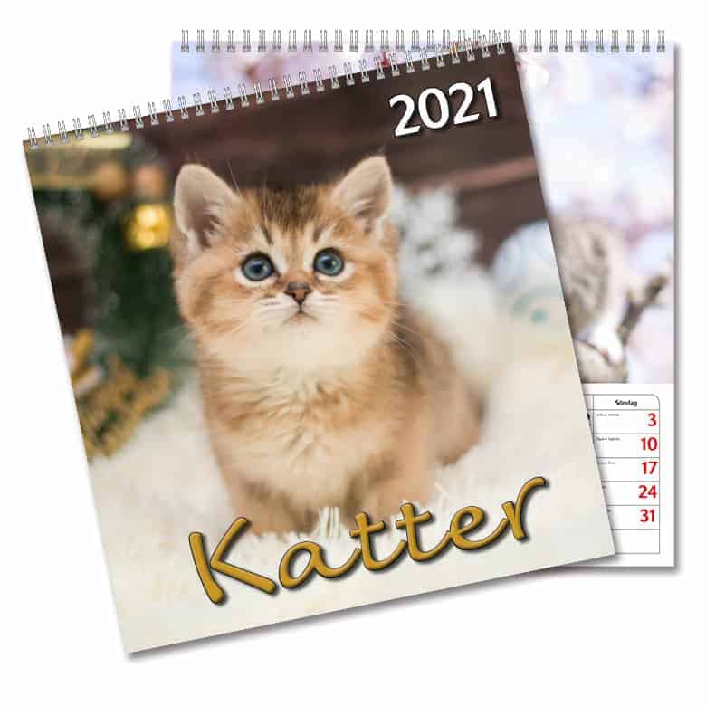 Väggkalender Katter Large 2021