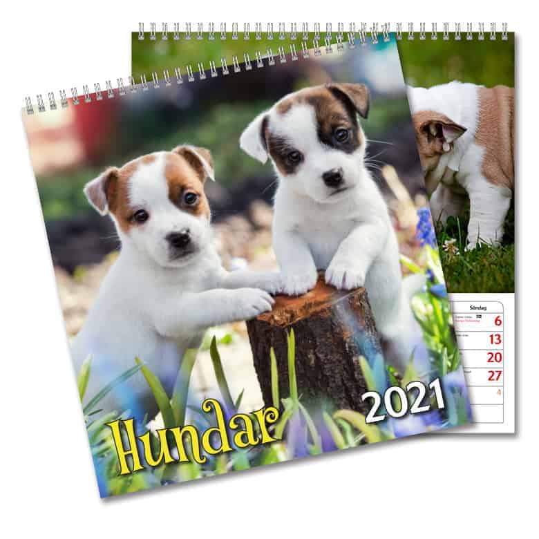 Väggkalender Hundar Large 2021
