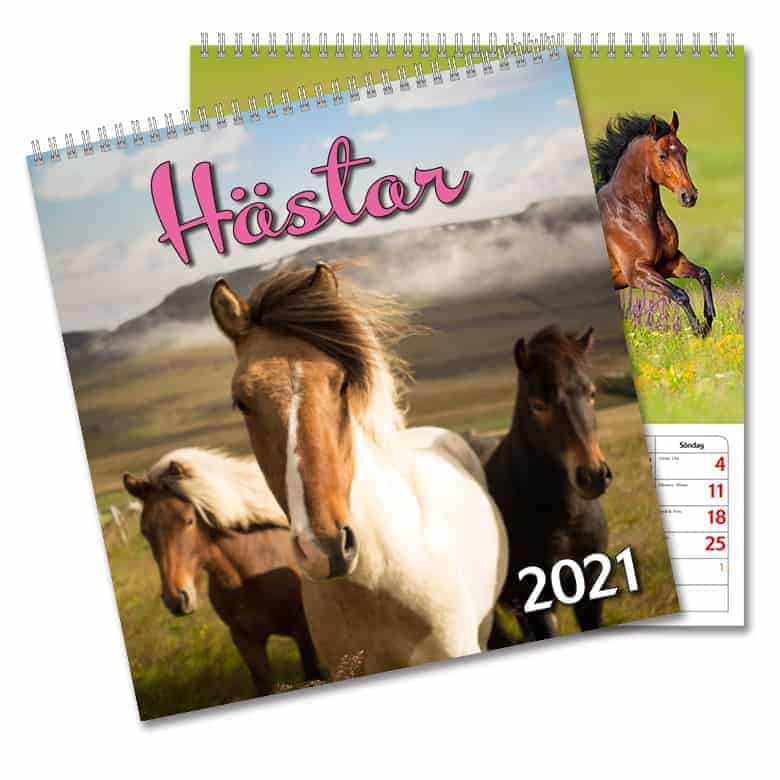Väggkalender Hästar Large 2021