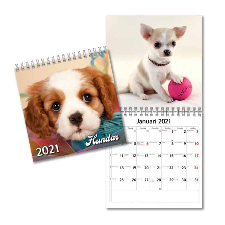 Väggkalender Hundar Mini 2021