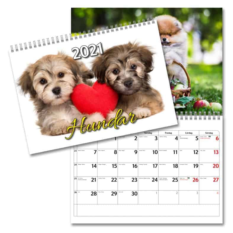 Väggkalender Hundar Small 2021