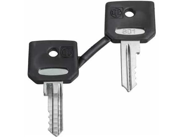 Ronis nyckel NR.455 ZBG455
