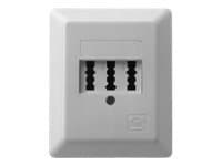 ZE KOMMUNIKATIONSTECHNIK 2x6/6 Standard - Ytmonterat uttag - TAE-NFF - pärlvit, RAL 1013 - 1-gang