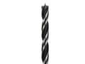 Miniatyrbilde 1 av 4: Bosch Accessories 2608596304 Træ-spiralbor 7 mm Samlet længde 109 mm Cylinderskaft 1 stk