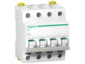 Miniatyrbild 1 av 4: Schneider Electric A9S65463, Frånskiljare, Vit, IP20, 72 mm, 73 mm, 85 mm