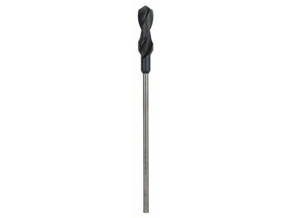 Bosch SKALNING OCH INSTALLATION BORRAR 30X400MM