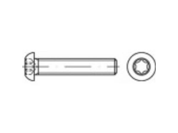 TOOLCRAFT 148236 Linseskruer M5 30 mm T-profil Stål Galvaniseret 500 stk