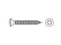 Pikkukuva 3 / 4: TOOLCRAFT 145425 Linssinpääruuvit 4,2 mm 19 mm Ristikkäisleikkaus Philips DIN 7983 Teräs Sinkitty 100 kpl
