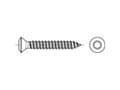 Pikkukuva 4 / 4: TOOLCRAFT 145425 Linssinpääruuvit 4,2 mm 19 mm Ristikkäisleikkaus Philips DIN 7983 Teräs Sinkitty 100 kpl