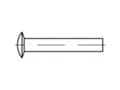 Miniatyrbild 3 av 4: TOOLCRAFT 112343 Linsenitte (Ø x L) 4 mm x 12 mm Stål 1000 stk