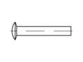 Miniatyrbild 4 av 4: TOOLCRAFT 112343 Linsenitte (Ø x L) 4 mm x 12 mm Stål 1000 stk