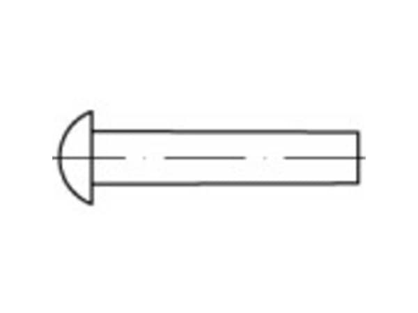 TOOLCRAFT 112209 Halvrund nitte (Ø x L) 7 mm x 25 mm Stål 250 stk