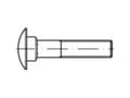 Miniatyrbilde 4 av 4: TOOLCRAFT 111529 Runde, flade skruer M6 16 mm Firkant DIN 603 Stål Galvaniseret 500 stk