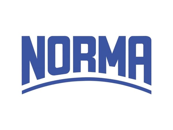 Norma 2-ear-klemme 1107012040 Bundt-Ø-område 37 til 37 mm Sølv 1 stk
