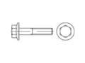 Miniatyrbild 4 av 4: TOOLCRAFT 148380 Sekskantsskruer med flange M14 40 mm Udvendig sekskant Stål Zinklamel-belagt 50 stk