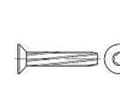 Miniatyrbilde 1 av 4: TOOLCRAFT 141880 Pladeskruer M6 16 mm T-profil DIN 7516 Stål Galvaniseret 500 stk