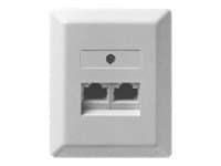 ZE KOMMUNIKATIONSTECHNIK UAE 2x8 - Ytmonterat uttag - RJ-45 (4 stift) X 2 - pärlvit, RAL 1013 - 1-gang
