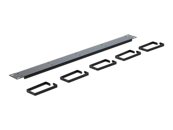 Delock - Panel for kabelhåndtering - jet black, RAL 9005 - 1U - 19"