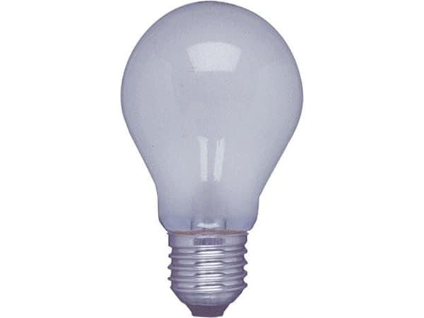 Glødelampe vindkraftlampe 60W E27 24V mat