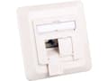 Pikkukuva 3 / 4: EFB Elektronik ET-25133.1V1, 2 x RJ-45, 6a, Valkoinen