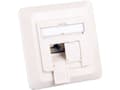 Pikkukuva 2 / 4: EFB Elektronik ET-25133.1V1, 2 x RJ-45, 6a, Valkoinen