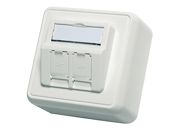 Telegärtner EMJ45 - Planskiva - alpine white - 2-gang