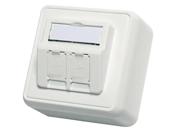 Telegärtner EMJ45 - Planskiva - alpine white - 2-gang