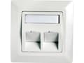 Miniatyrbild 3 av 5: Telegärtner Frame for RJ45 adaptor Cat.5e, 45° outlet, double, 80x80 mm, alpine white