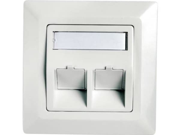 Telegärtner Frame for RJ45 adaptor Cat.5e, 45° outlet, double, 80x80 mm, alpine white