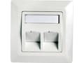 Miniatyrbild 4 av 5: Telegärtner Frame for RJ45 adaptor Cat.5e, 45° outlet, double, 80x80 mm, alpine white