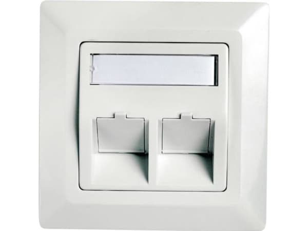 Telegärtner Frame for RJ45 adaptor Cat.5e, 45° outlet, double, 80x80 mm, alpine white