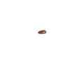 Miniatyrbild 1 av 3: Slipband 40x618 K60 (10)