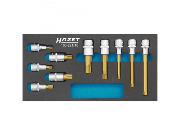 HAZET 163-221/10, Hylssats, Metriska/brittiska, 10 huvuden, 342 mm, 172 mm, 1,4 kg